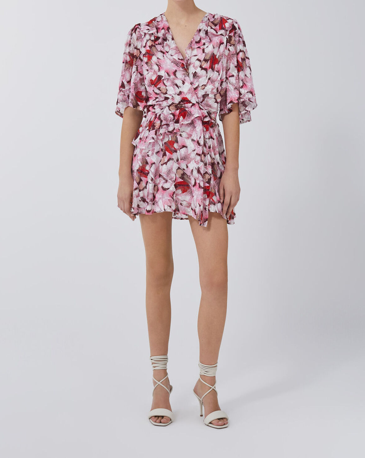 CARLINA image number null